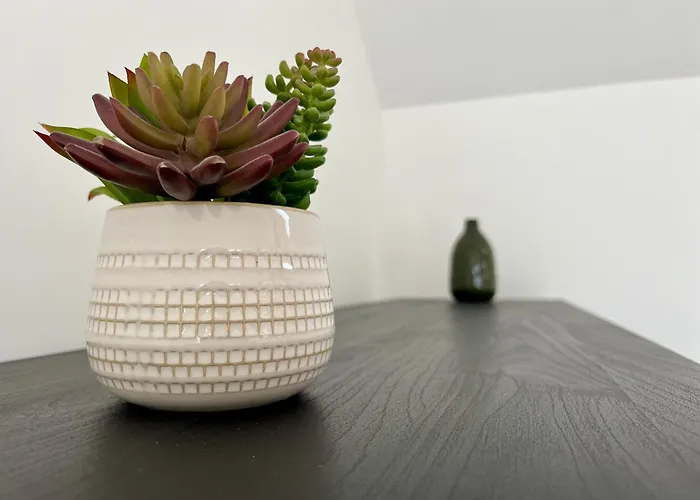 Au Rythme Des Saisons - 364 * Rouen